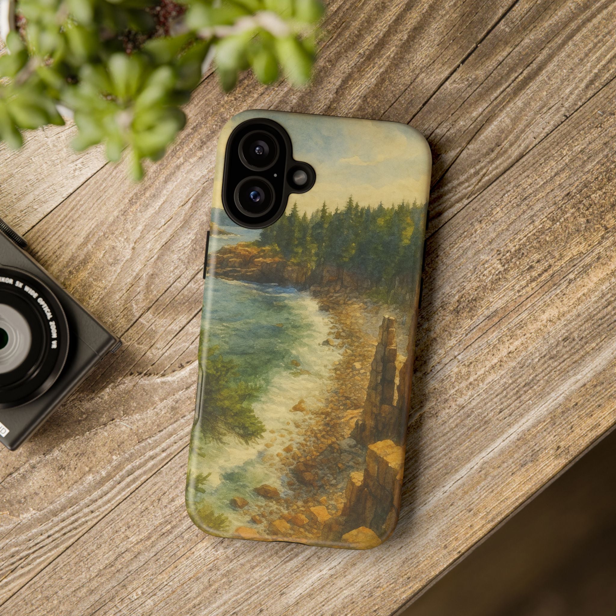 Acadia National Park Beach Phone Case - Perfect Gift for Nature Lovers and Park Enthusiasts