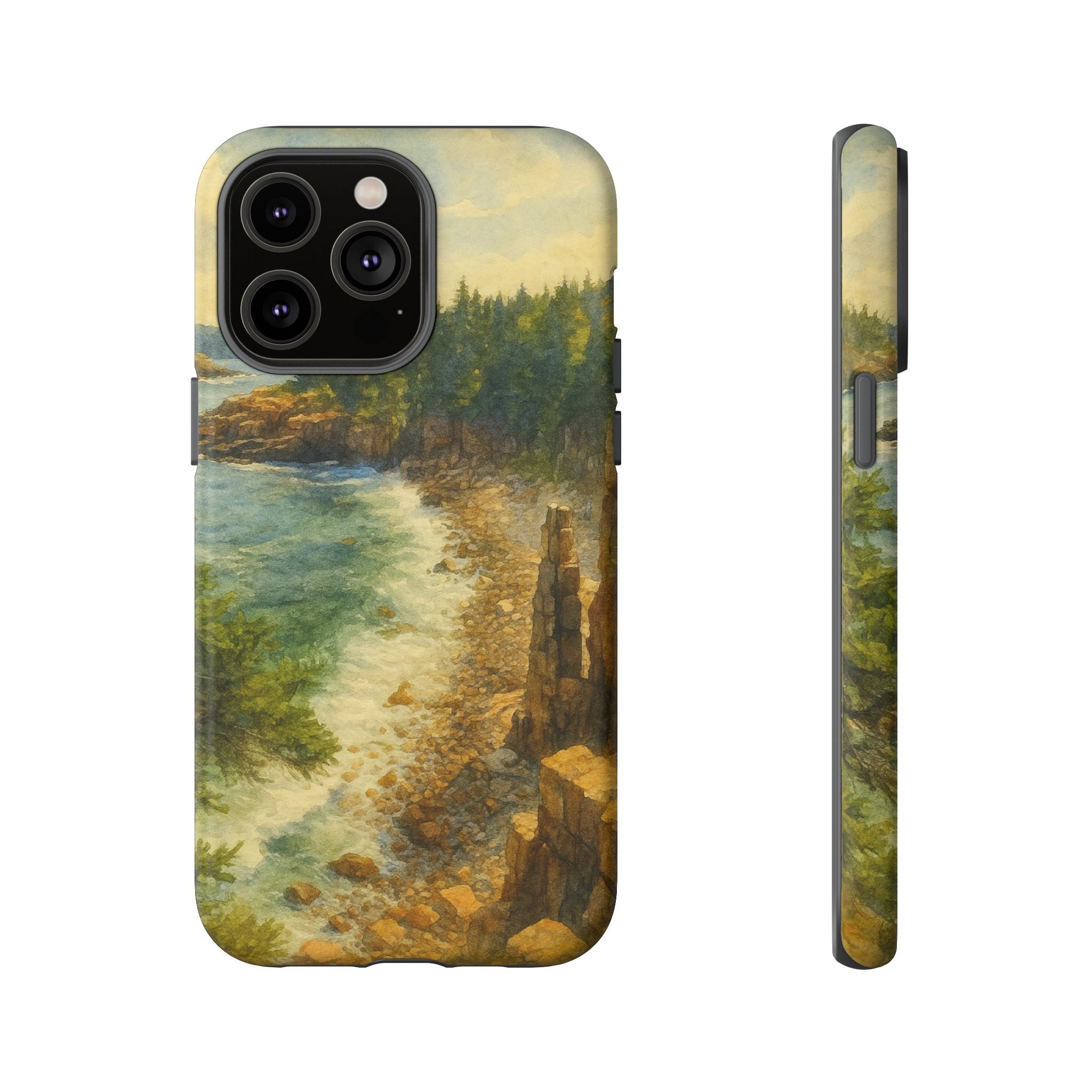 Acadia National Park Beach Phone Case - Perfect Gift for Nature Lovers and Park Enthusiasts
