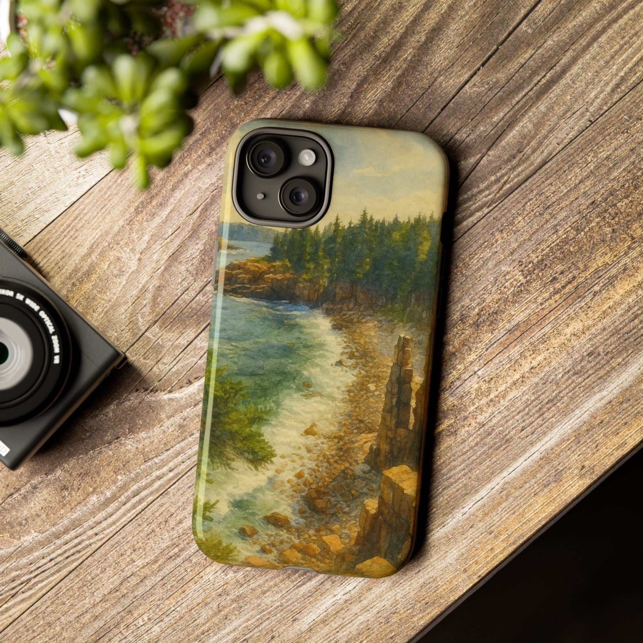 Acadia National Park Beach Phone Case - Perfect Gift for Nature Lovers and Park Enthusiasts