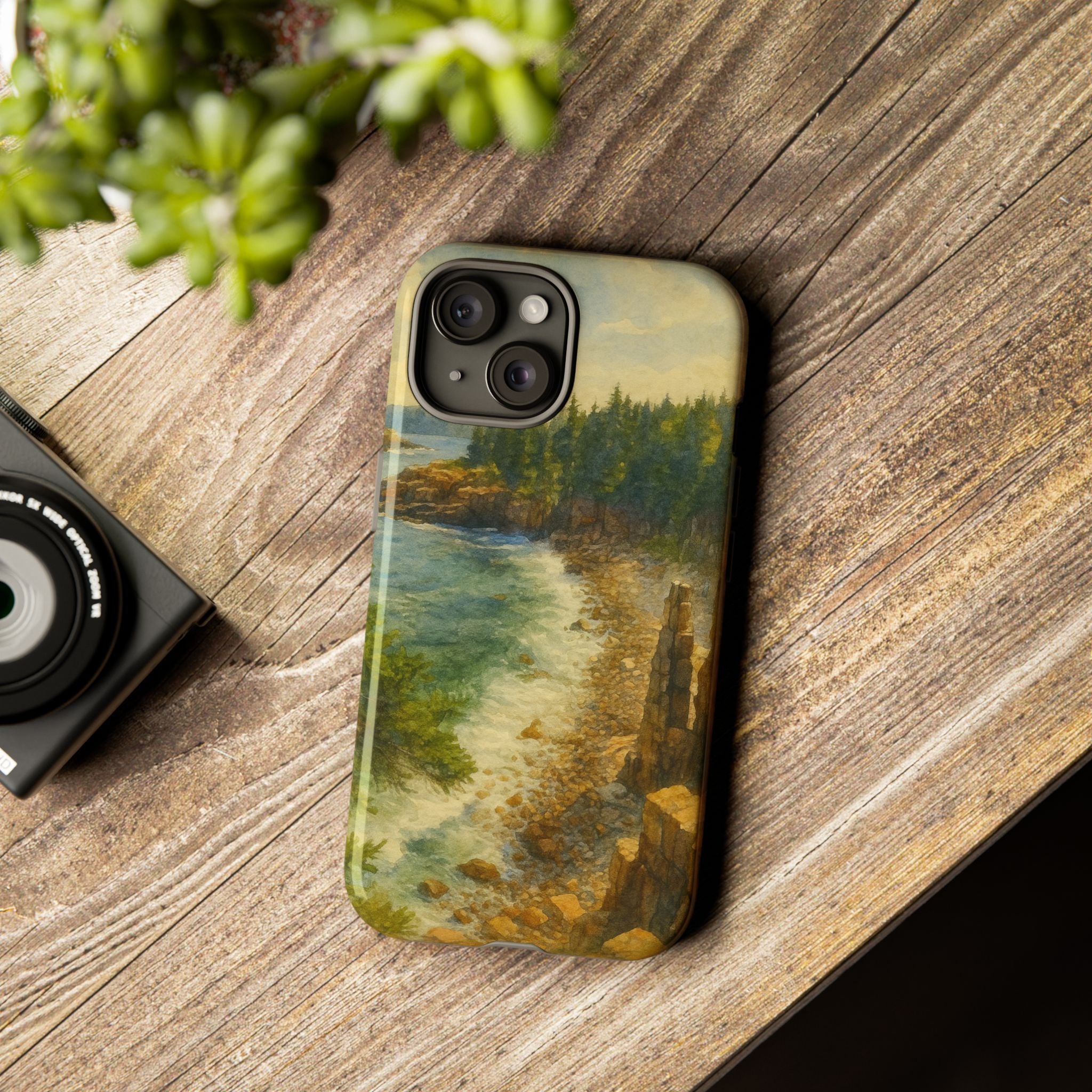 Acadia National Park Beach Phone Case - Perfect Gift for Nature Lovers and Park Enthusiasts