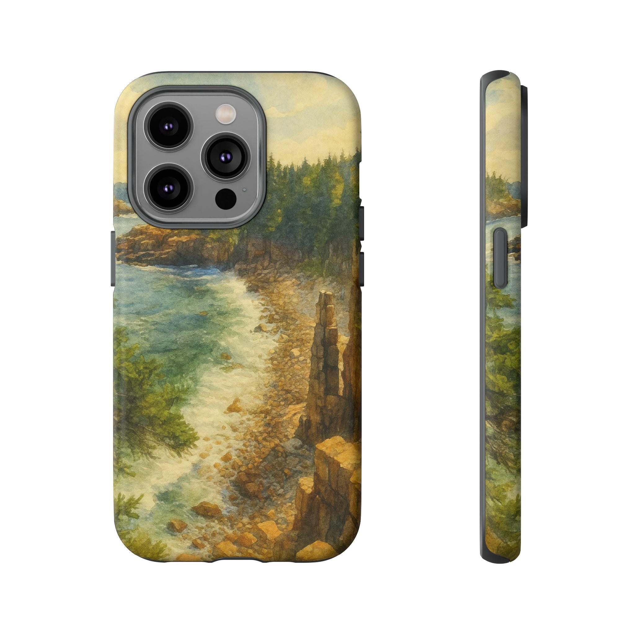 Acadia National Park Beach Phone Case - Perfect Gift for Nature Lovers and Park Enthusiasts