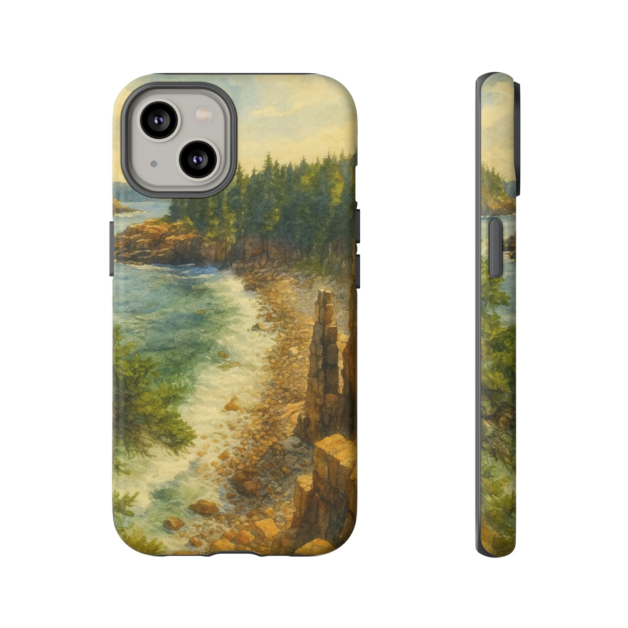 Acadia National Park Beach Phone Case - Perfect Gift for Nature Lovers and Park Enthusiasts