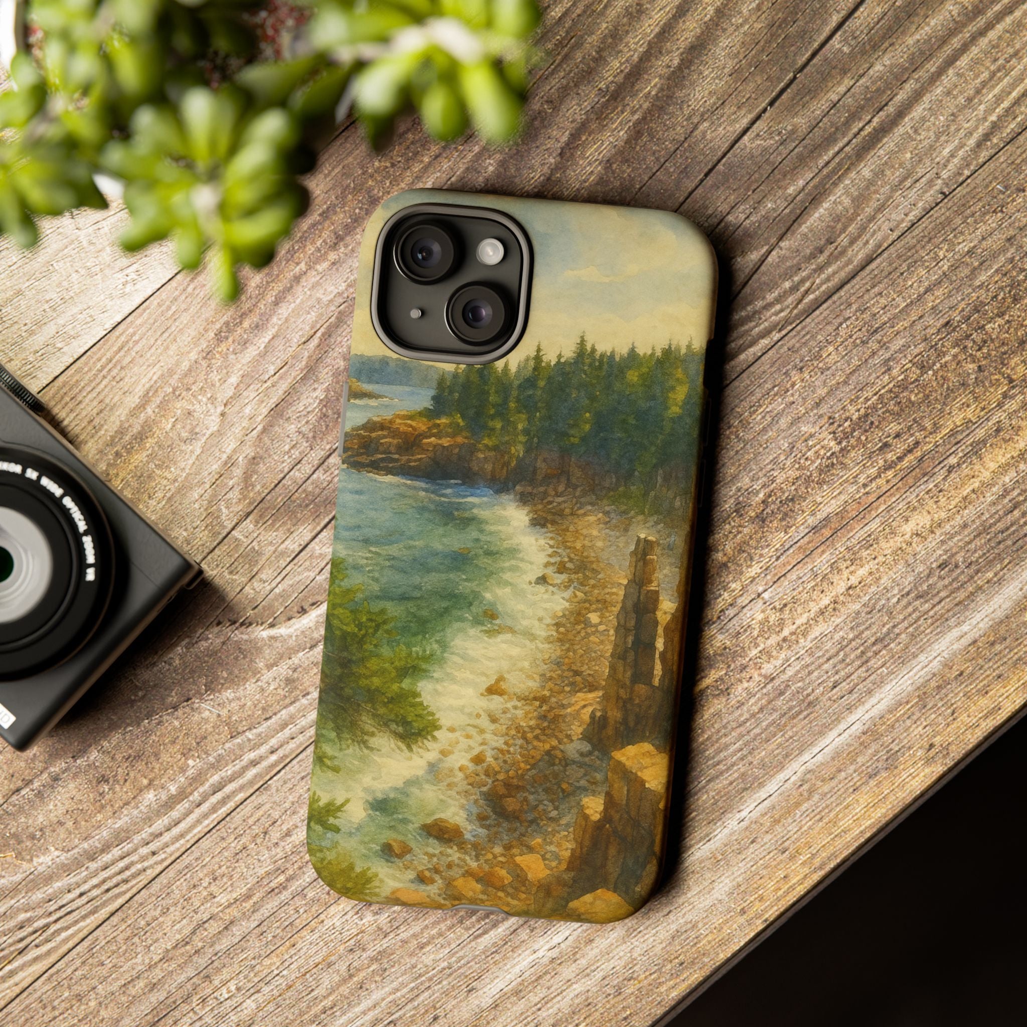 Acadia National Park Beach Phone Case - Perfect Gift for Nature Lovers and Park Enthusiasts