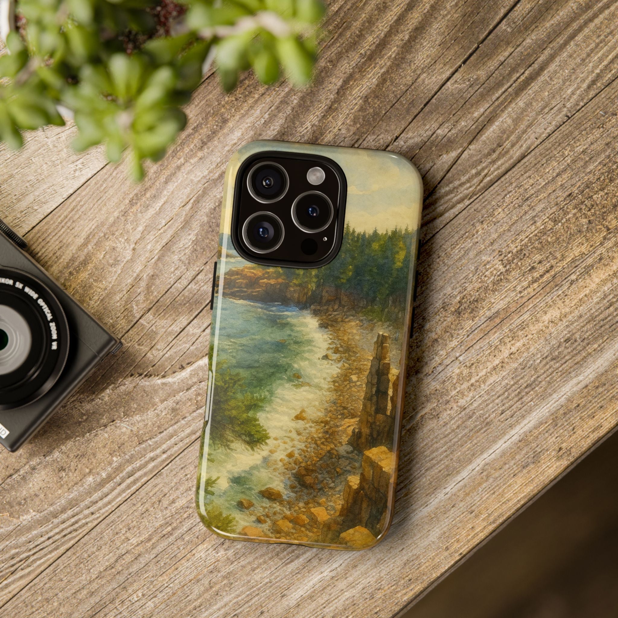 Acadia National Park Beach Phone Case - Perfect Gift for Nature Lovers and Park Enthusiasts