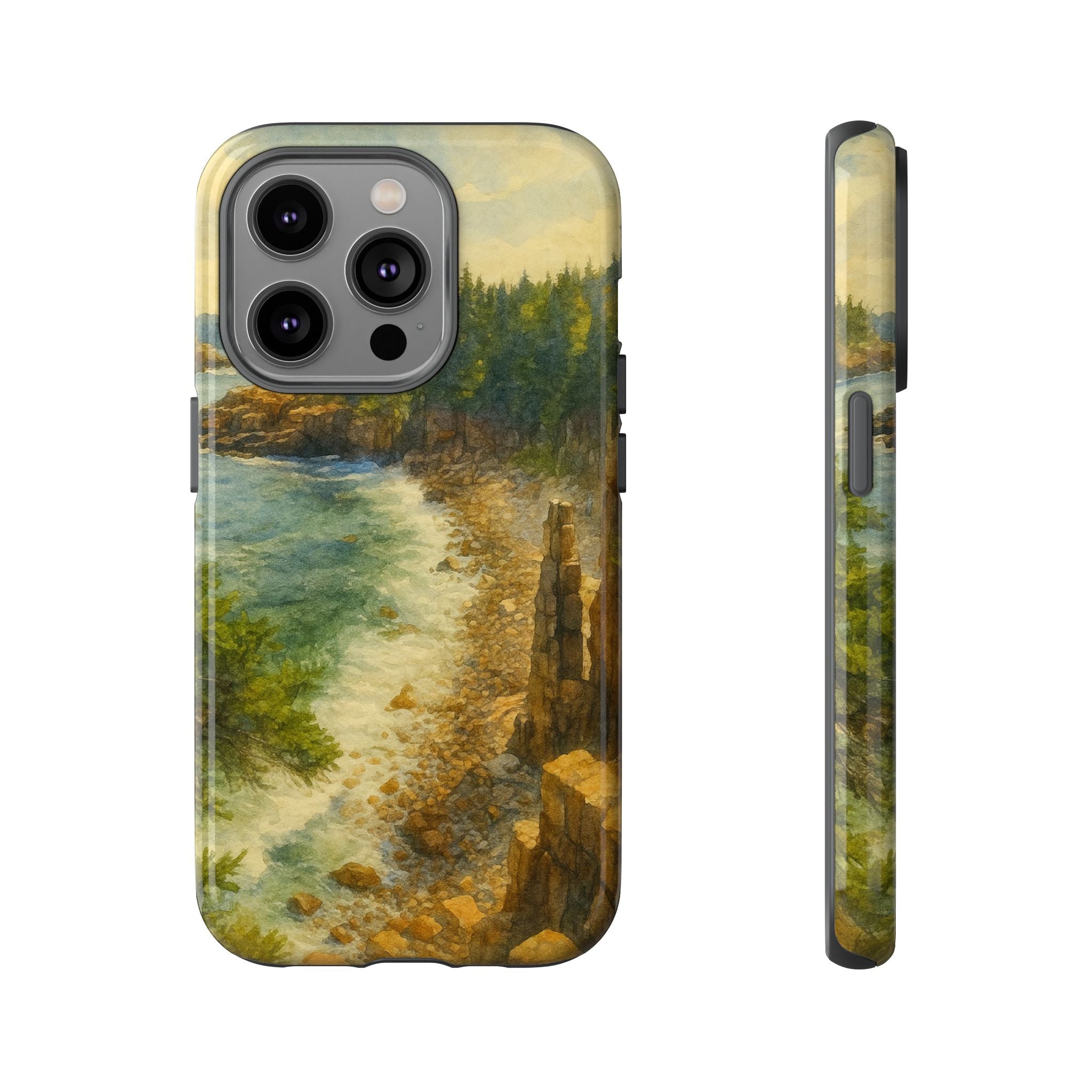 Acadia National Park Beach Phone Case - Perfect Gift for Nature Lovers and Park Enthusiasts