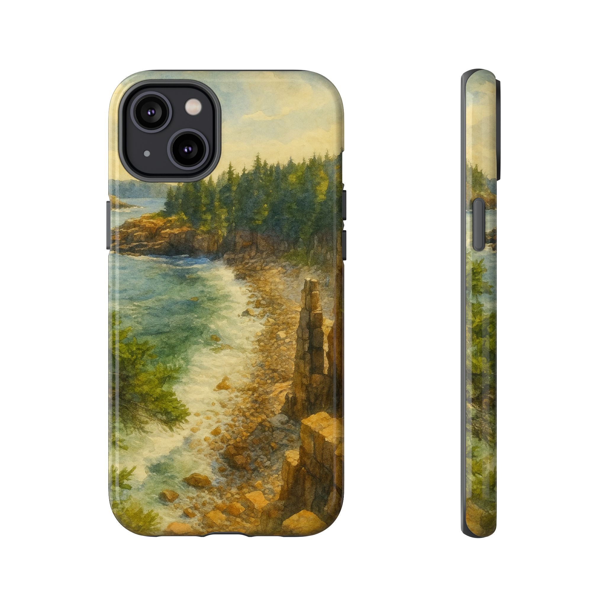 Acadia National Park Beach Phone Case - Perfect Gift for Nature Lovers and Park Enthusiasts